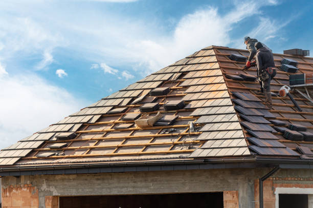 Best Solar Panel Roofing Installation  in Tangelo Park, FL